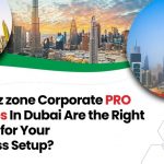 Biz Zone Corporate Services Provider